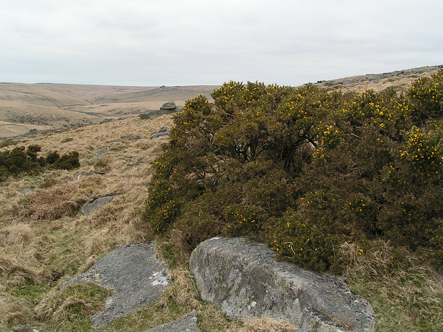 Dartmoor