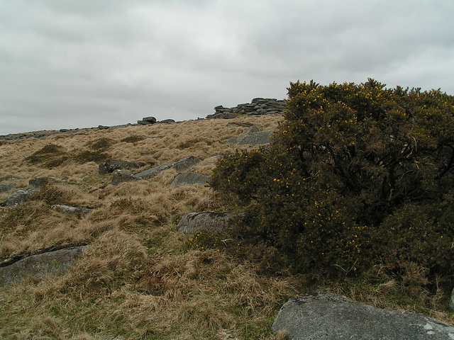 Dartmoor