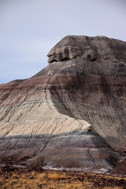 Petrified Forest