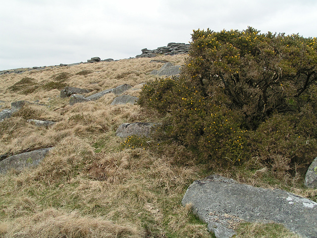 Dartmoor