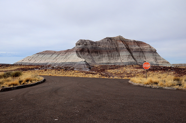 Petrified Forest