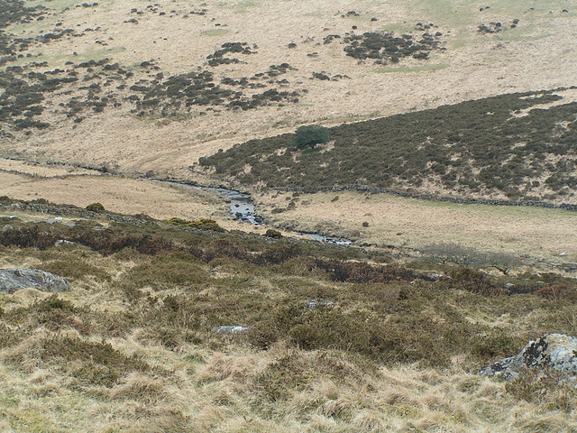 Dartmoor