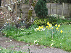 After a long winter, this garden is showing spring in it's glory