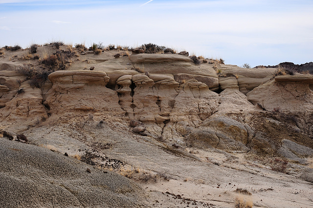 Petrified Forest