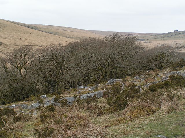 Dartmoor