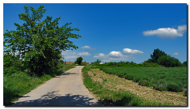 Barjac, Nebenstrasse