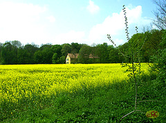 2008-05-03 12 Eo Domholzschänke