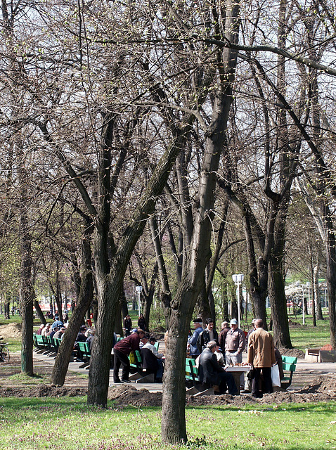 şah în parc