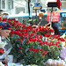 Istanbul Taksim Flowers