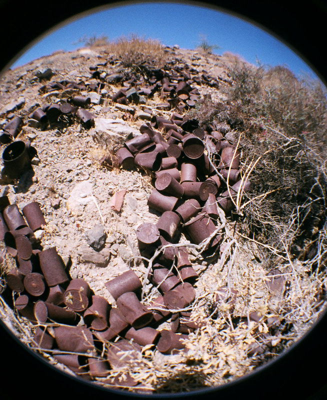Can Dump (13)