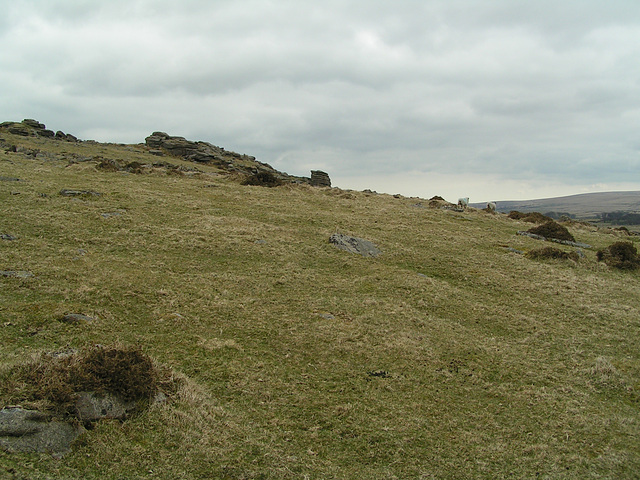 Dartmoor