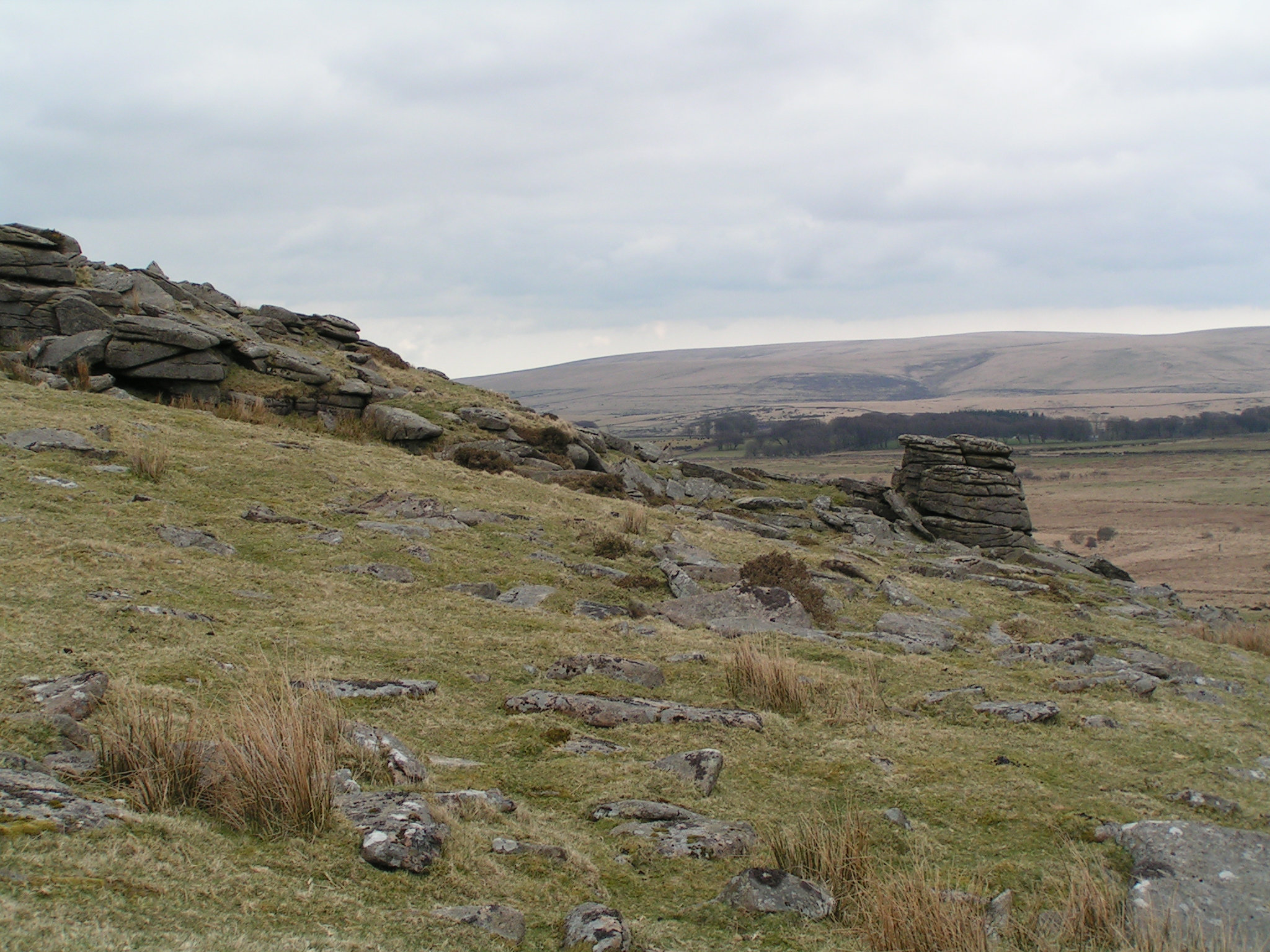 Dartmoor