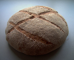 No-Knead Whole Wheat Bread