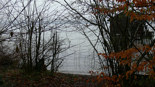 Tristesse am See