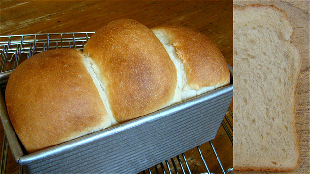 Hokkaidobrood met Tang Zhong