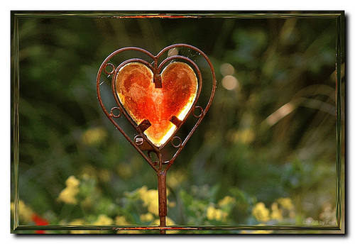 Heart