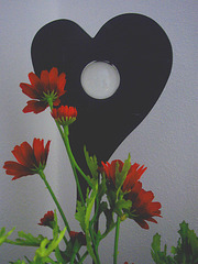 Blumen mit Herz (2)