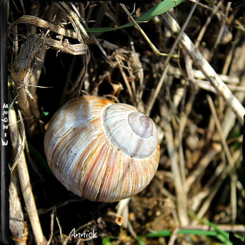 nature et nous