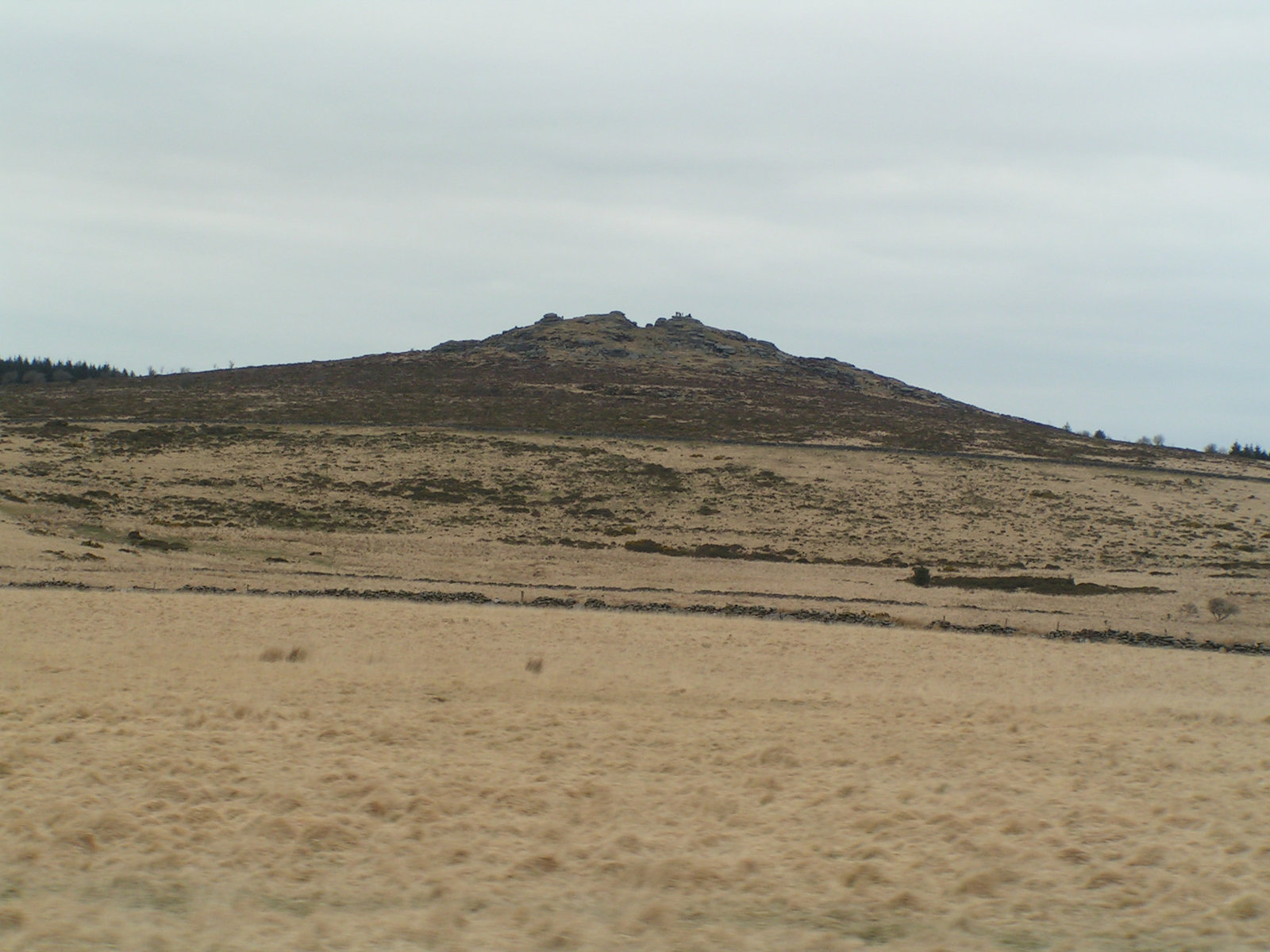 Dartmoor