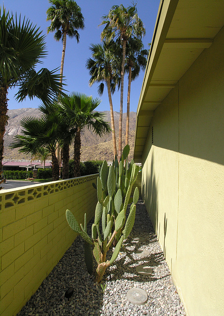 Stewart-Dyer House South Wall (7245)