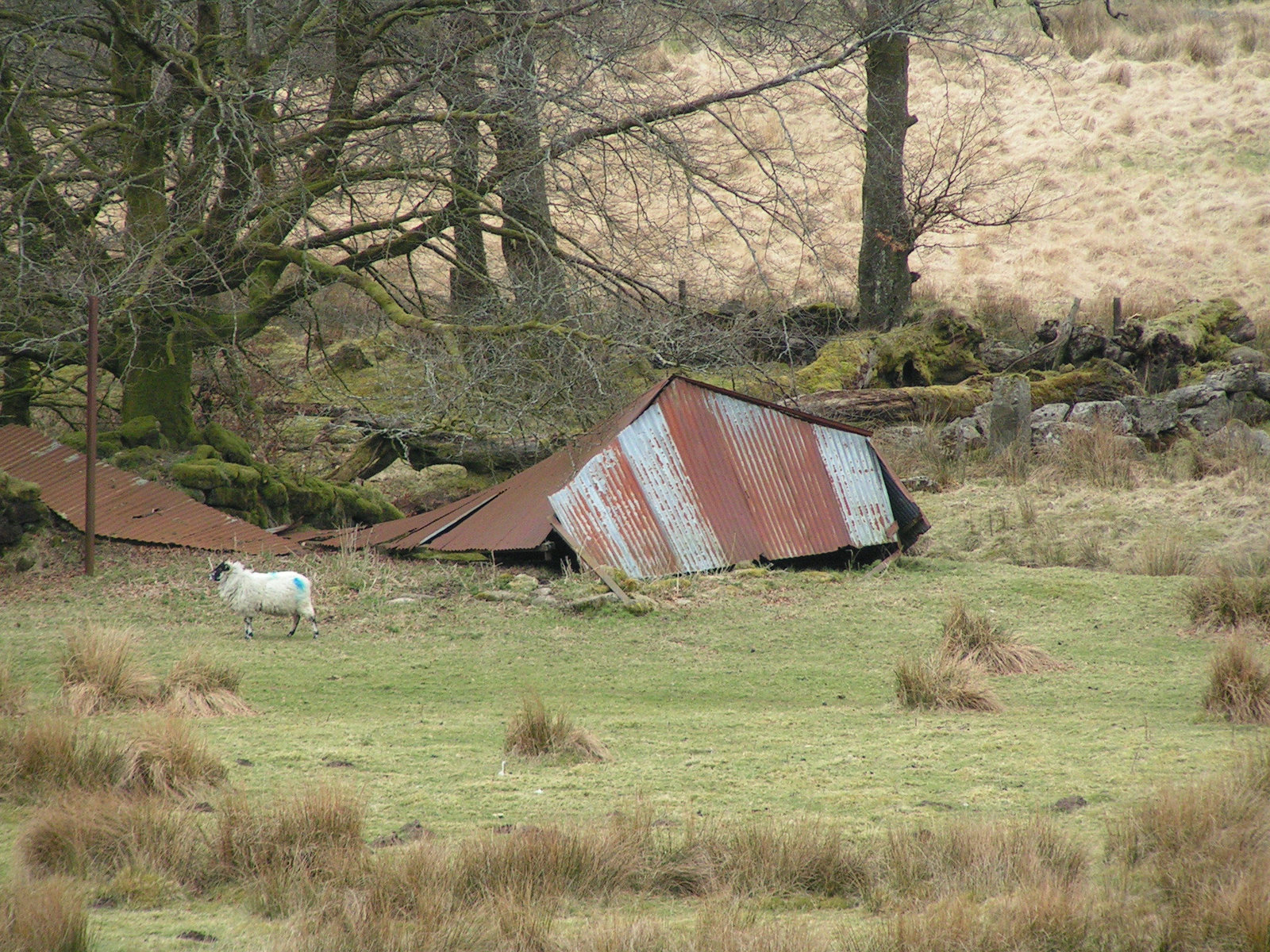 Dartmoor