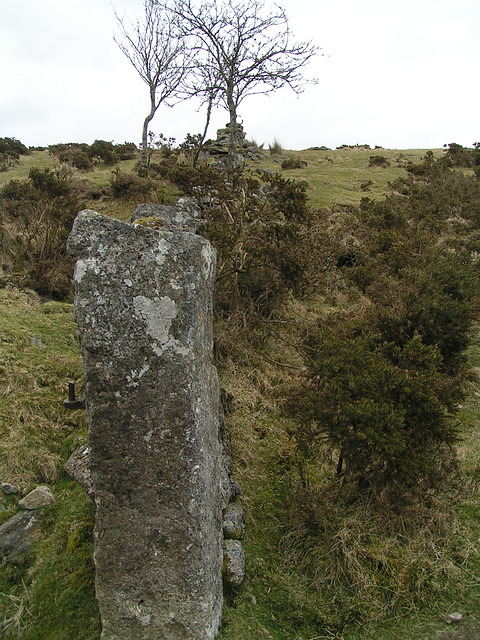 Dartmoor