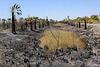 Dos Palmas Fire (7758)