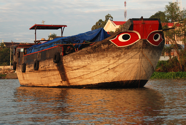 Morning Light - Ship