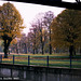 Lock, River Sazava, Cercany, Bohemia (CZ), 2007