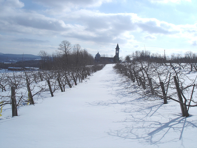 Abbaye St-Benoit-du-lac  / St-Benoit-du-lac  Abbey - Québec, CANADA  / 6 février 2009