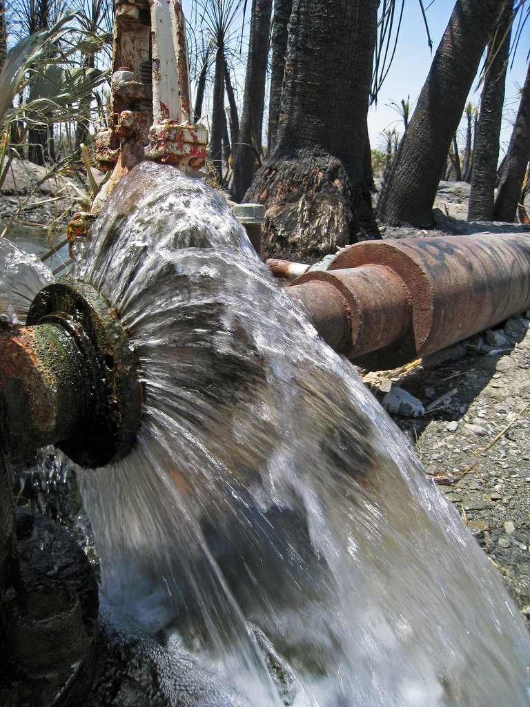 Dos Palmas Fire & Water (1051)