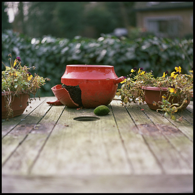 on the table