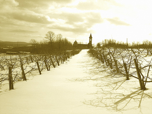 Abbaye St-Benoit-du-lac  /  St-Benoit-du-lac  Abbey -  Quebec, CANADA  - 6 février 2009 / SEPIA