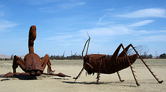 Ricardo Breceda's Scorpion & Grasshopper sculpture in Galleta Meadows Estate (4433)