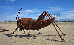 Ricardo Breceda's Scorpion & Grasshopper sculpture in Galleta Meadows Estate (4434)