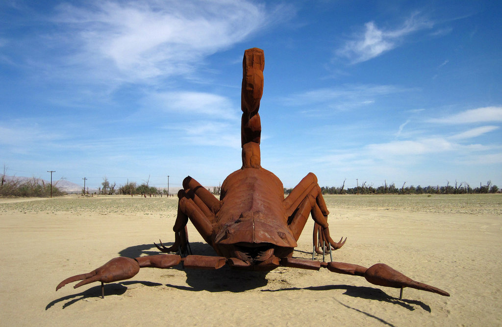 Ricardo Breceda's Scorpion & Grasshopper sculpture in Galleta Meadows Estate (4435)