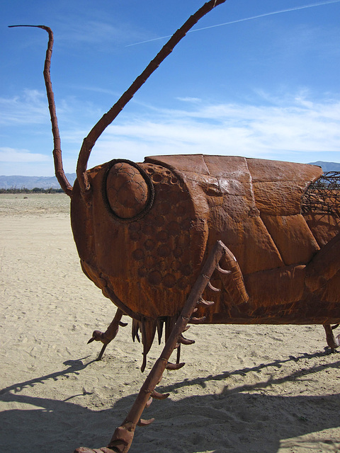 Ricardo Breceda's Scorpion & Grasshopper sculpture in Galleta Meadows Estate (4436)