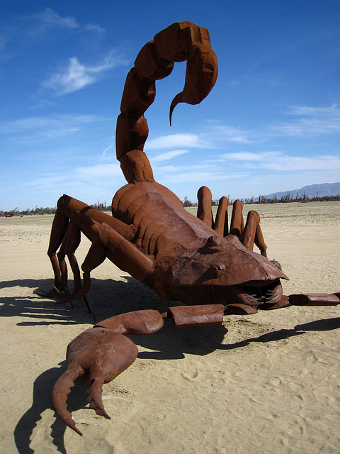 Ricardo Breceda's Scorpion & Grasshopper sculpture in Galleta Meadows Estate (4437)