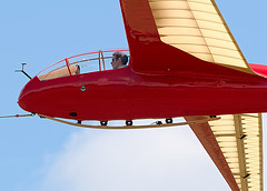Pilot in red