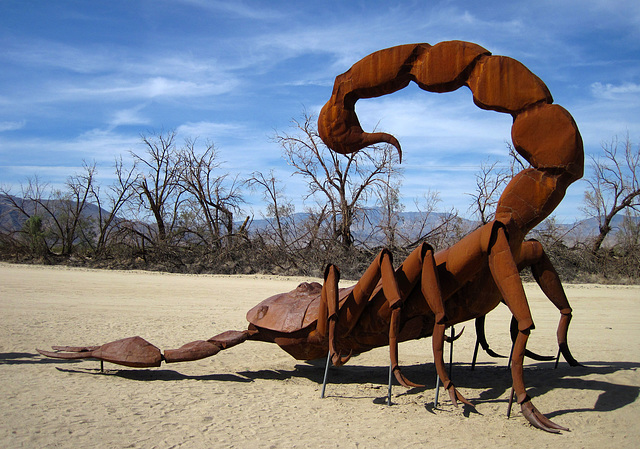 Ricardo Breceda's Scorpion & Grasshopper sculpture in Galleta Meadows Estate (4442)