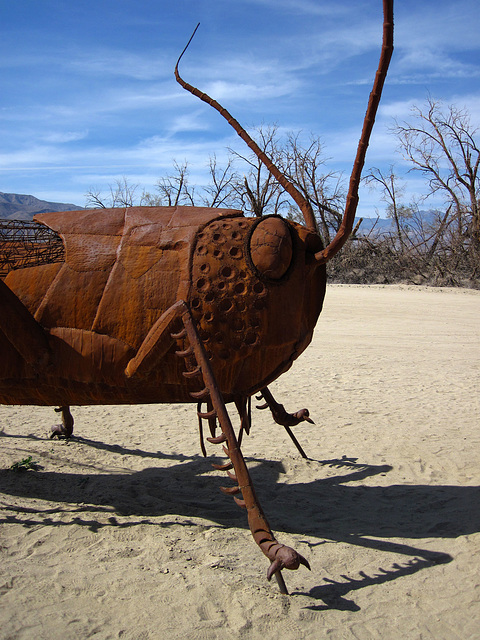 Ricardo Breceda's Scorpion & Grasshopper sculpture in Galleta Meadows Estate (4444)