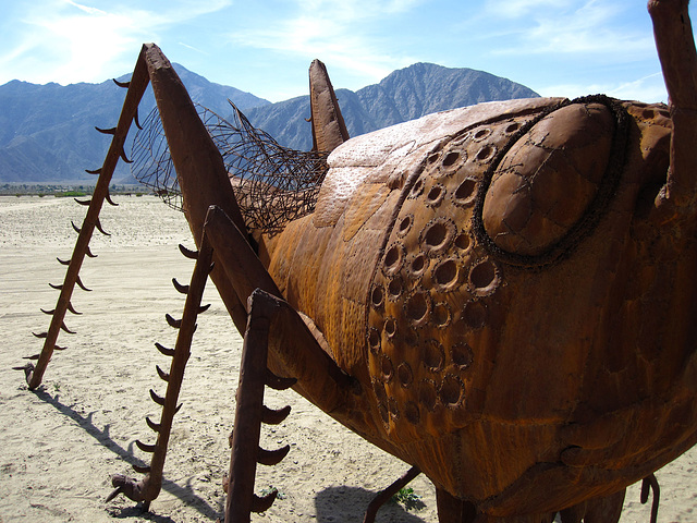 Ricardo Breceda's Scorpion & Grasshopper sculpture in Galleta Meadows Estate (4448)