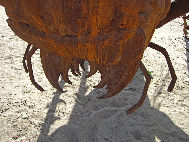 Ricardo Breceda's Scorpion & Grasshopper sculpture in Galleta Meadows Estate (4450)