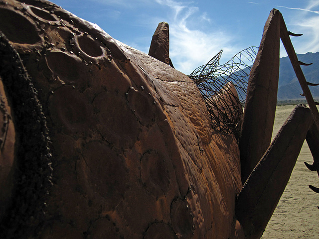 Ricardo Breceda's Scorpion & Grasshopper sculpture in Galleta Meadows Estate (4452)