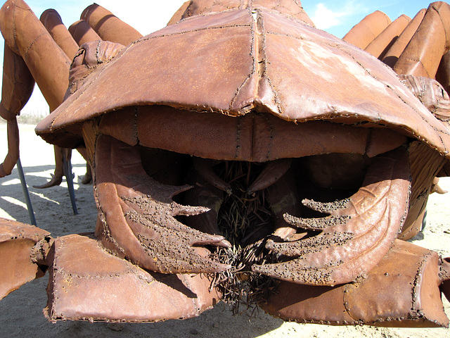 Ricardo Breceda's Scorpion & Grasshopper sculpture in Galleta Meadows Estate (4453)