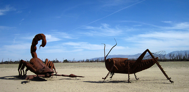 Ricardo Breceda's Scorpion & Grasshopper sculpture in Galleta Meadows Estate (4454)