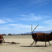 Ricardo Breceda's Scorpion & Grasshopper sculpture in Galleta Meadows Estate (4454)