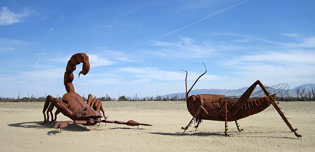 Ricardo Breceda's Scorpion & Grasshopper sculpture in Galleta Meadows Estate (4455)