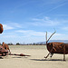 Ricardo Breceda's Scorpion & Grasshopper sculpture in Galleta Meadows Estate (4455)