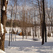 Near the famous abbey of St-Benoit-du-lac / Tout près de l'abbaye de St-Benoit-du-lac.  7 Février 2009 - Avec flash